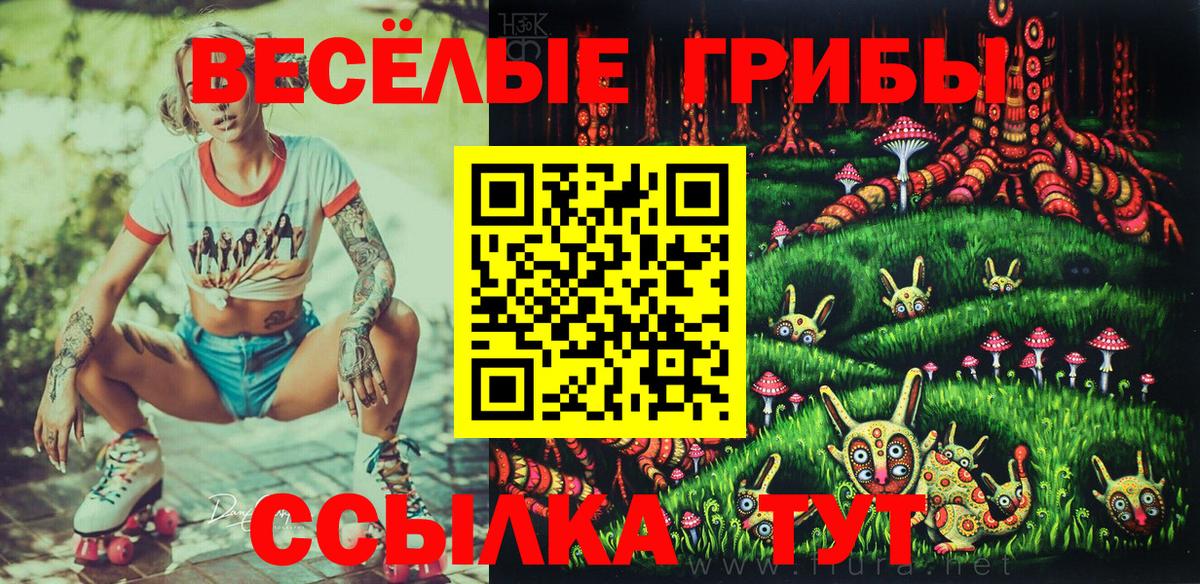 где купить   Вход с VPN  Сальск  Псилоцибиновые грибы MAGIC MUSHROOMS 